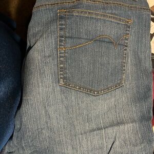 Lane Bryant Size 26 Petite Jeans